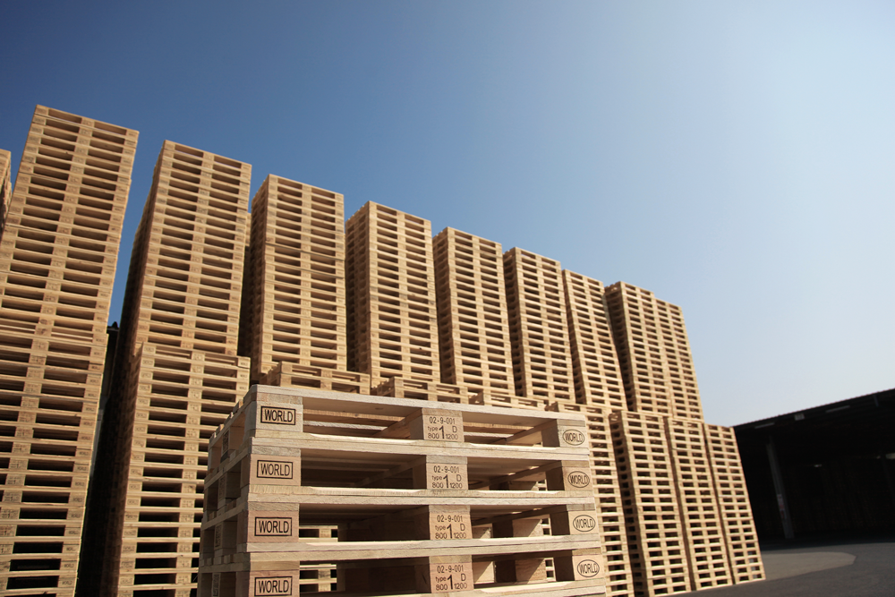 63a1839cacdb228e2b0f549b_d149c0e9-cefc-44d4-9b41-c664ea15d878