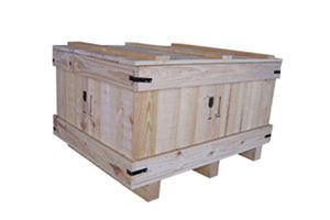 caixa4-300x200 caixa4-300x200