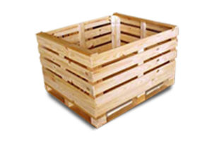 especiais1-300x200 especiais1-300x200