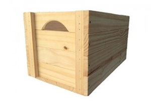 especiais4-300x200 especiais4-300x200